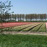 6-persoons Met Omheinde Tuin Vlakbij Strand, Hond Welkom * Warmenhuizen