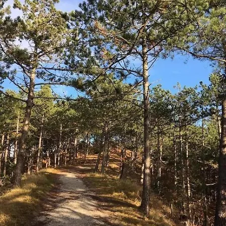Comfortabel 6-persoons Nabij Strand, Bos, Duinen En Vakantiehuis Warmenhuizen