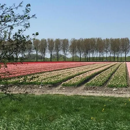6-persoons Met Omheinde Tuin Vlakbij Strand, Hond Welkom * Warmenhuizen