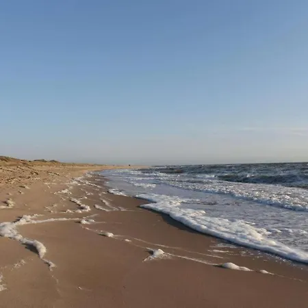 Feriehus 6-persoons Met Omheinde Tuin Vlakbij Strand, Hond Welkom *