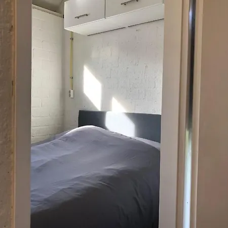 Comfortabel 6-persoons Nabij Strand, Bos, Duinen En Ferienhaus