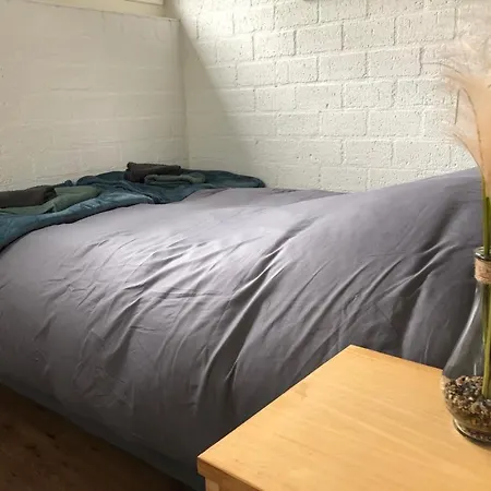 Feriehus Comfortabel 6-persoons Nabij Strand, Bos, Duinen En