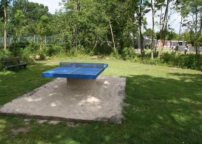 6-persoons Met Omheinde Tuin Vlakbij Strand, Hond Welkom *