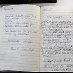 6-persoons Met Omheinde Tuin Vlakbij Strand, Hond Welkom * Warmenhuizen