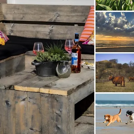 6-persoons Met Omheinde Tuin Vlakbij Strand, Hond Welkom Holiday home Warmenhuizen