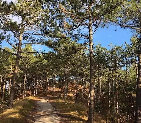6-Persoons Huis Met Omheinde Tuin Vlakbij Strand, Hond Welkom Σπίτι διακοπών Warmenhuizen